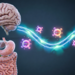 क्या हमारा पेट ही हमारा ‘दूसरा दिमाग’ (Second Brain) है?