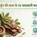 अर्जुन की छाल के 15 चमत्कारी फायदे: दिल, कोलेस्ट्रॉल और डायबिटीज के लिए वरदान